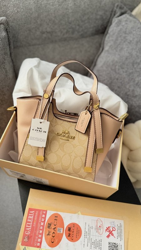 شنتة coach